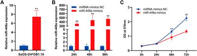 Screening for MicroRNA combination with engineered exosomes as a new tool against osteosarcoma in elderly patients